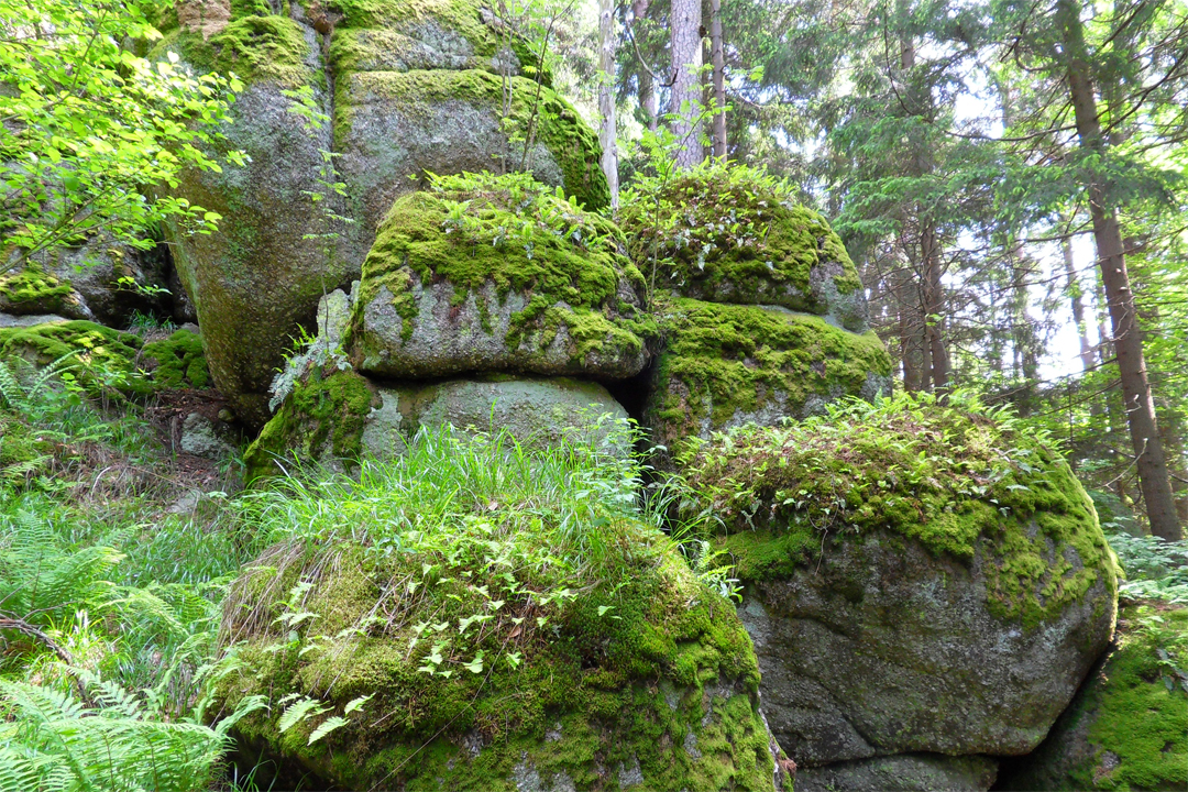 Yoga Retreat im Waldviertel