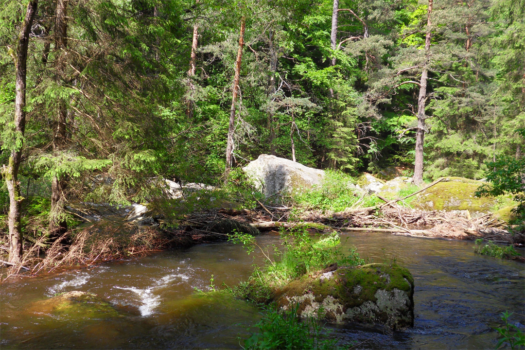 Yoga und Ayurveda im Waldviertel