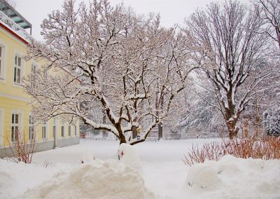 Der Garten des PUREYOGA Yoga-Zentrums im Winter