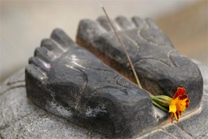 Yoga & Meditation im Pureyoga in Wien