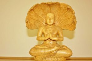 Patanjali Pureyoga