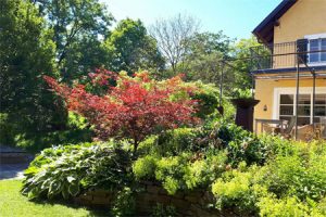 Yoga Urlaub mit Horst im Haus der Stille