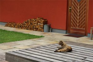 Yoga Urlaub mit Horst im Haus der Stille
