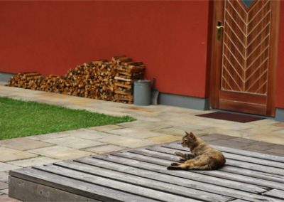 Yoga Urlaub mit Horst im Haus der Stille
