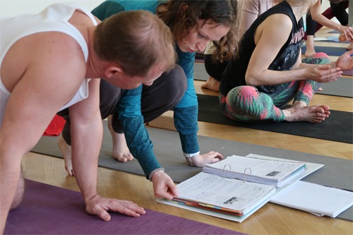 Yogalehrer Ausbildung - Studium der Asanas