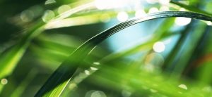 Yoga Kriya Workshop Pureyoga Vienna