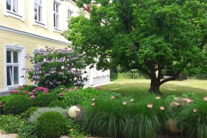 Sommer im Pureyoga. Yoga Genuss mitten in Wien.