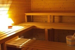 Waldviertel Yoga Urlaub Pureyoga