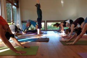 Yoga Urlaub Retreat Pureyoga