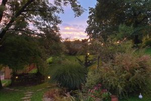 Yoga Urlaub Retreat Pureyoga
