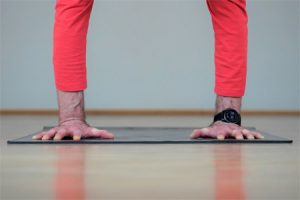 Handstand und Armbalances Workshop Pureyoga Wien