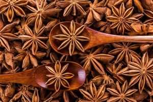 Ayurveda Immunsystem Workshop Pure Yoga Wien