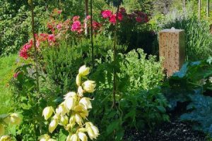Yoga Urlaub Retreat Pureyoga