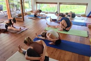 Yoga Retreat Asana 