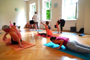Pureyoga Hietzing Mysore Yoga Hietzing Pureyoga