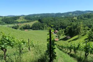 Yogaurlaub mit Horst 06.2018
