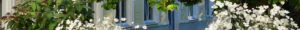 Yoga Unterricht in Wien Yogazentrum – Yogastudio mit Kriyas und Pranayama
