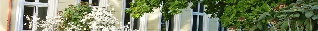 Yogakurs Rückenyoga mit Ama