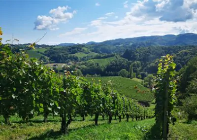 Yoga Urlaub - in der Nähe von Wien