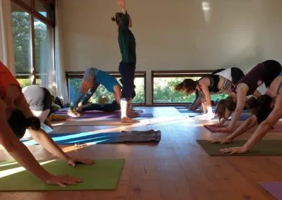 Yoga Urlaub Retreat Pureyoga