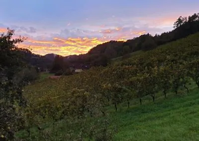 Yoga Urlaub Retreat Pureyoga