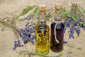Workshop Ayurveda Yoga Wien